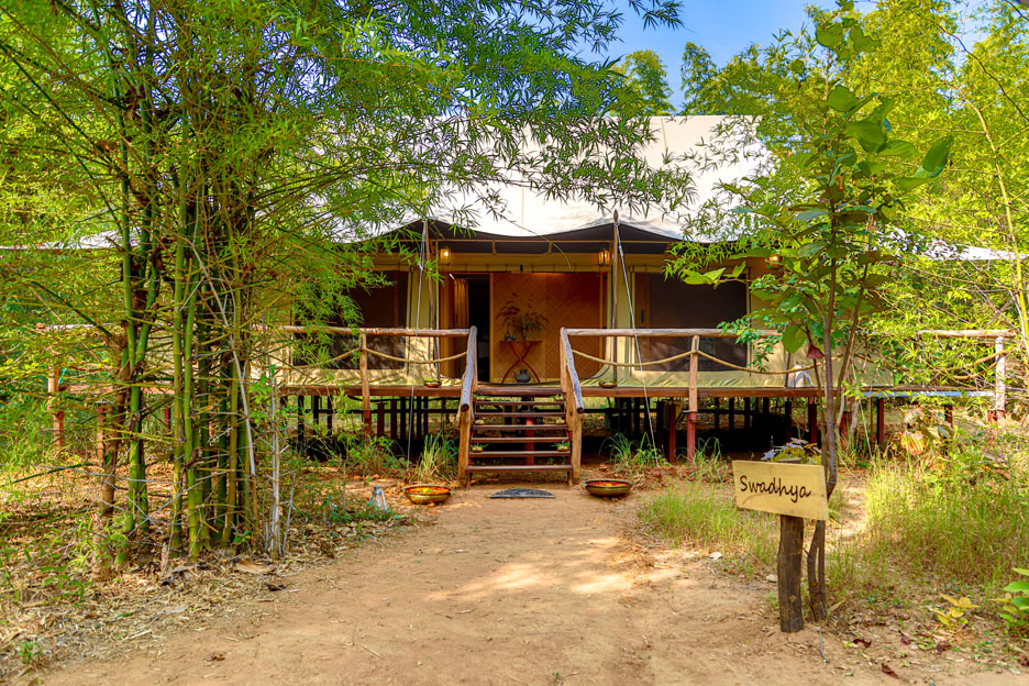 Luxury travel in India Wildlife — From the origin of stripes to the origin of starlight