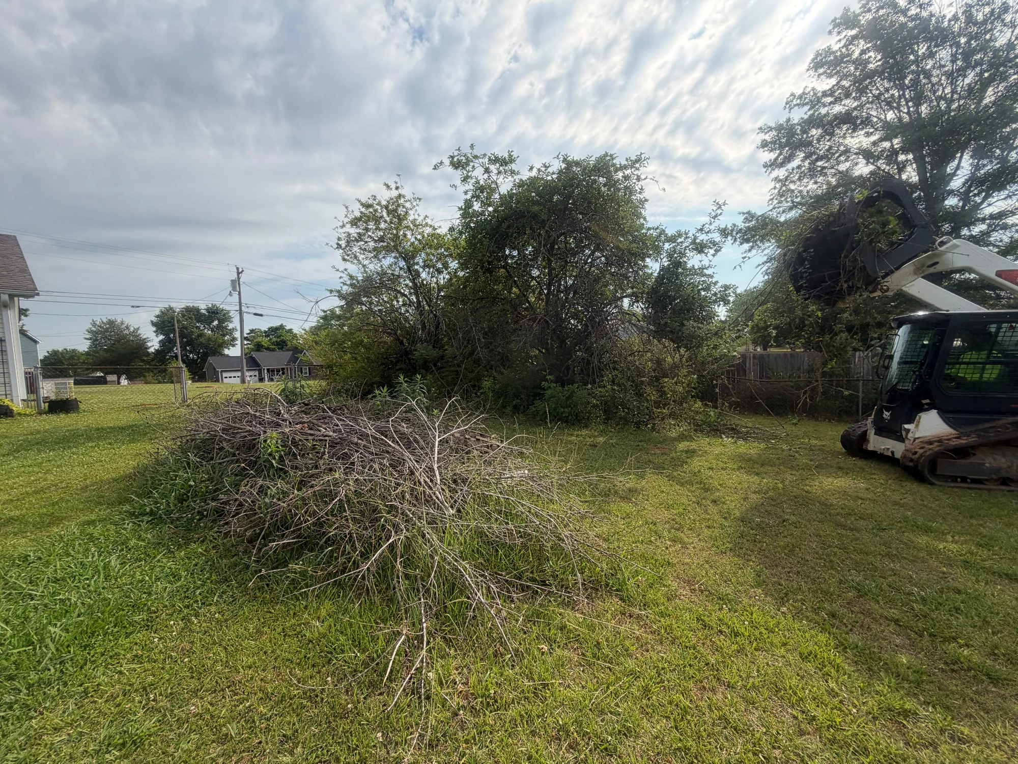 Brush Removal & Lot Cleanup before