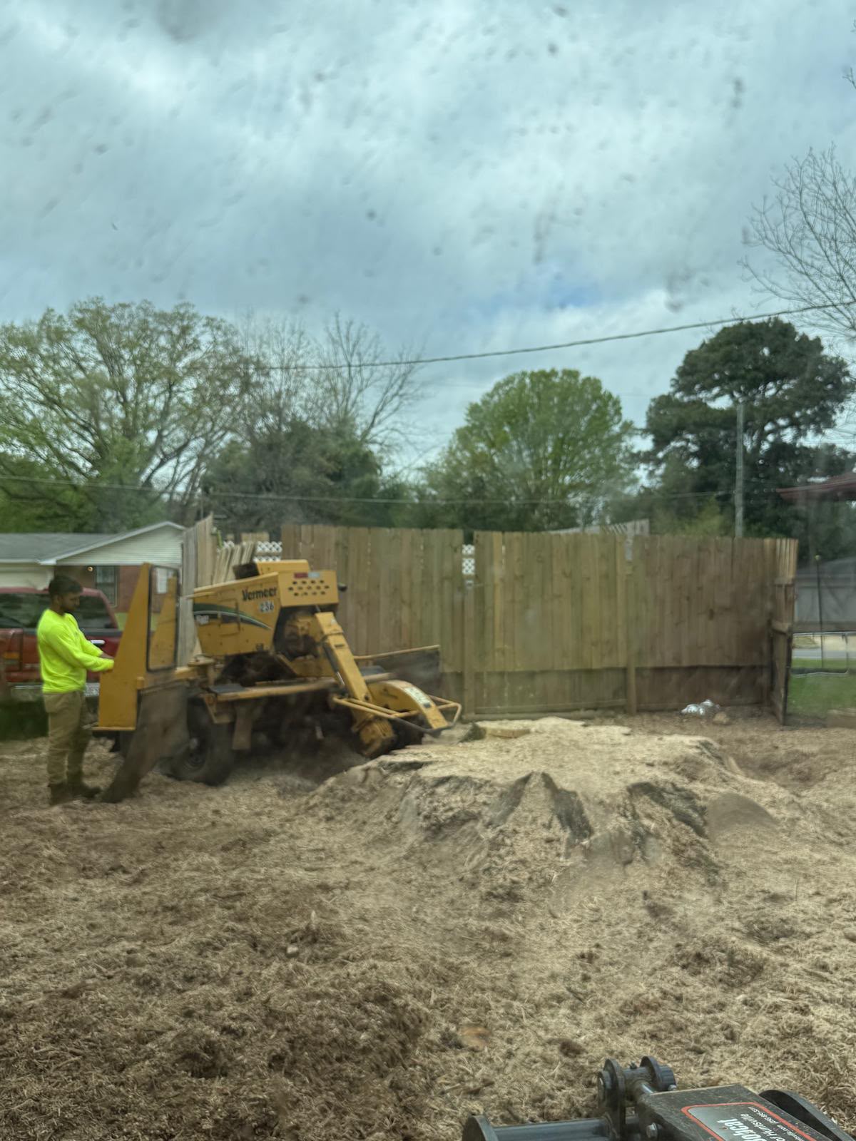Stump Grinding — tree service project