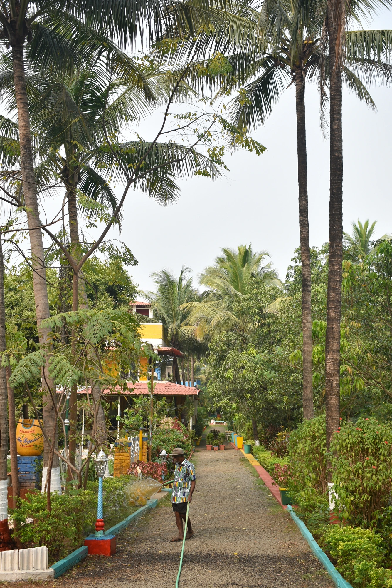 The palm walk, tended each morning