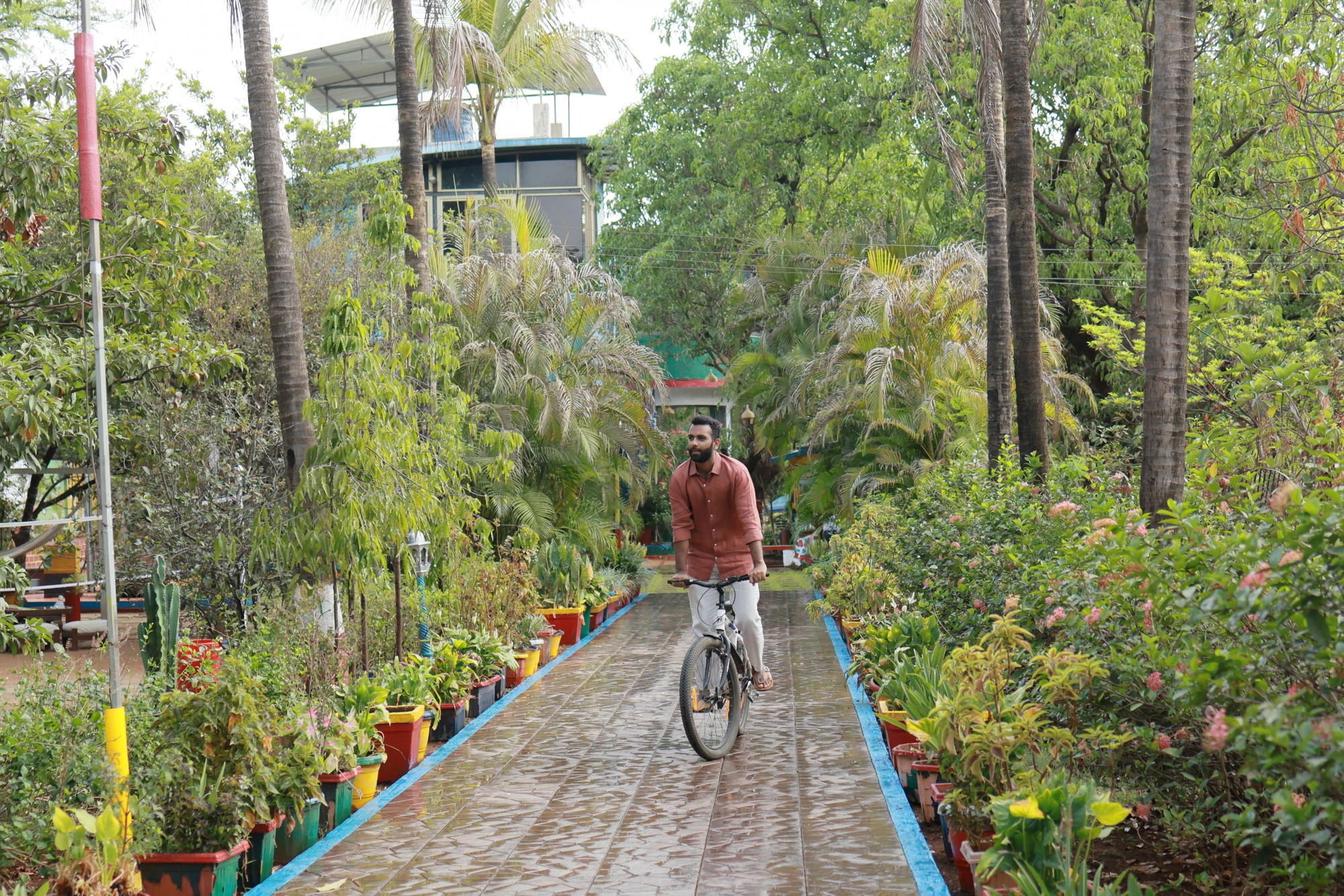 A slow ride down the palm walk