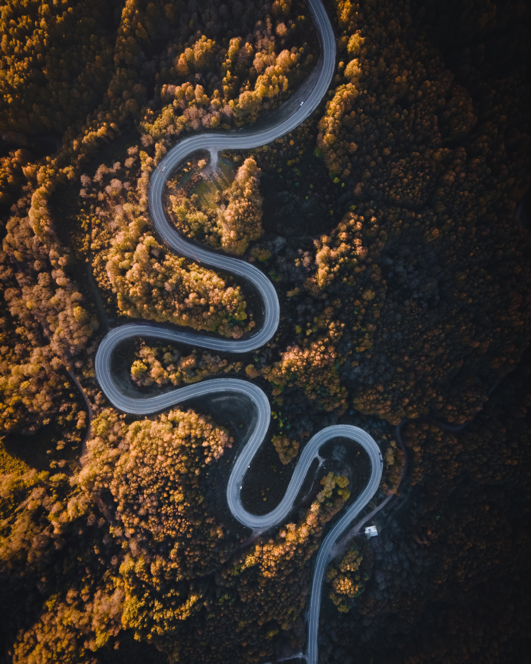 Route sinueuse vue du ciel — métaphore de la transition