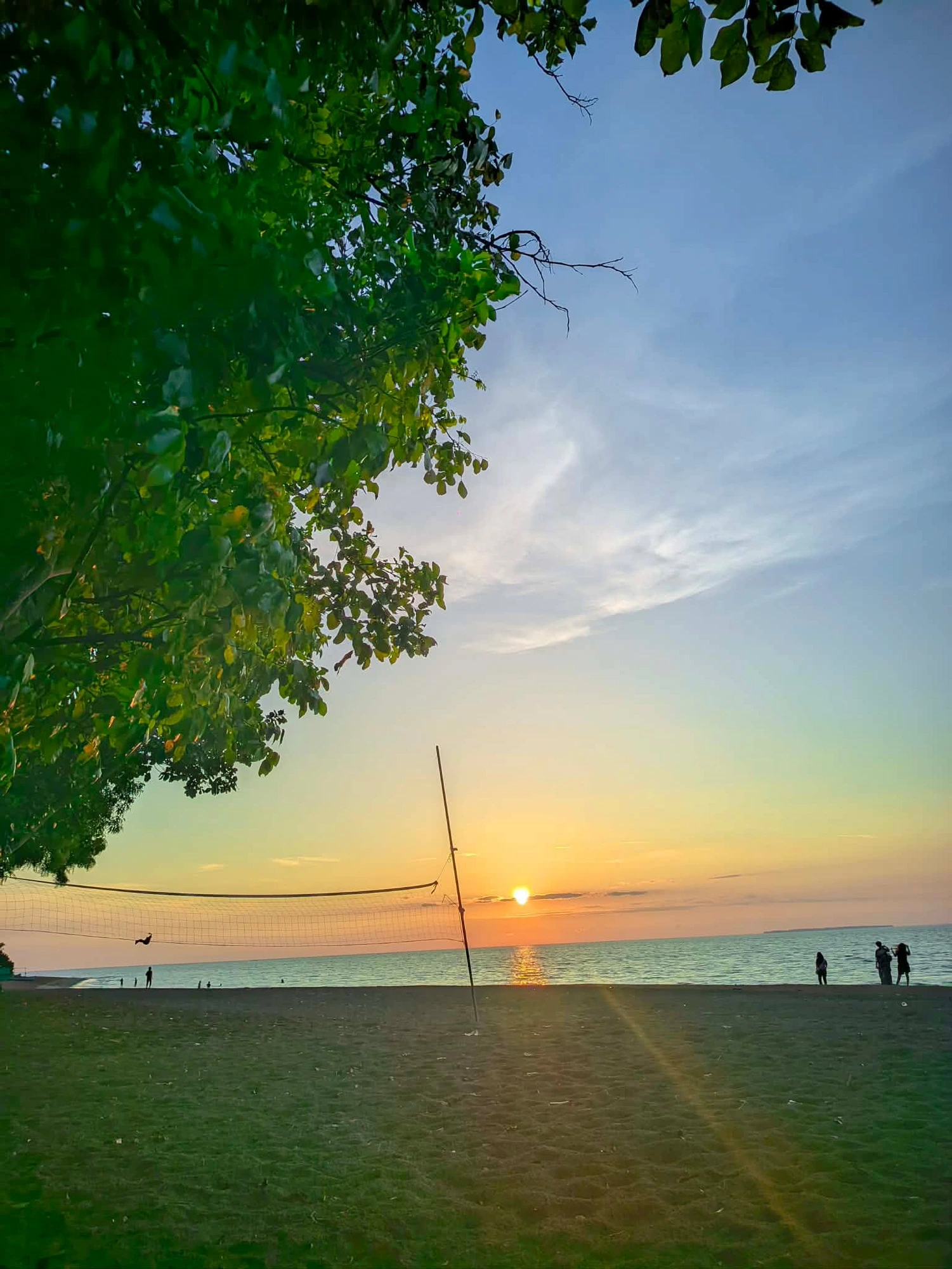 Woven hammocks strung between shaded coastal trees