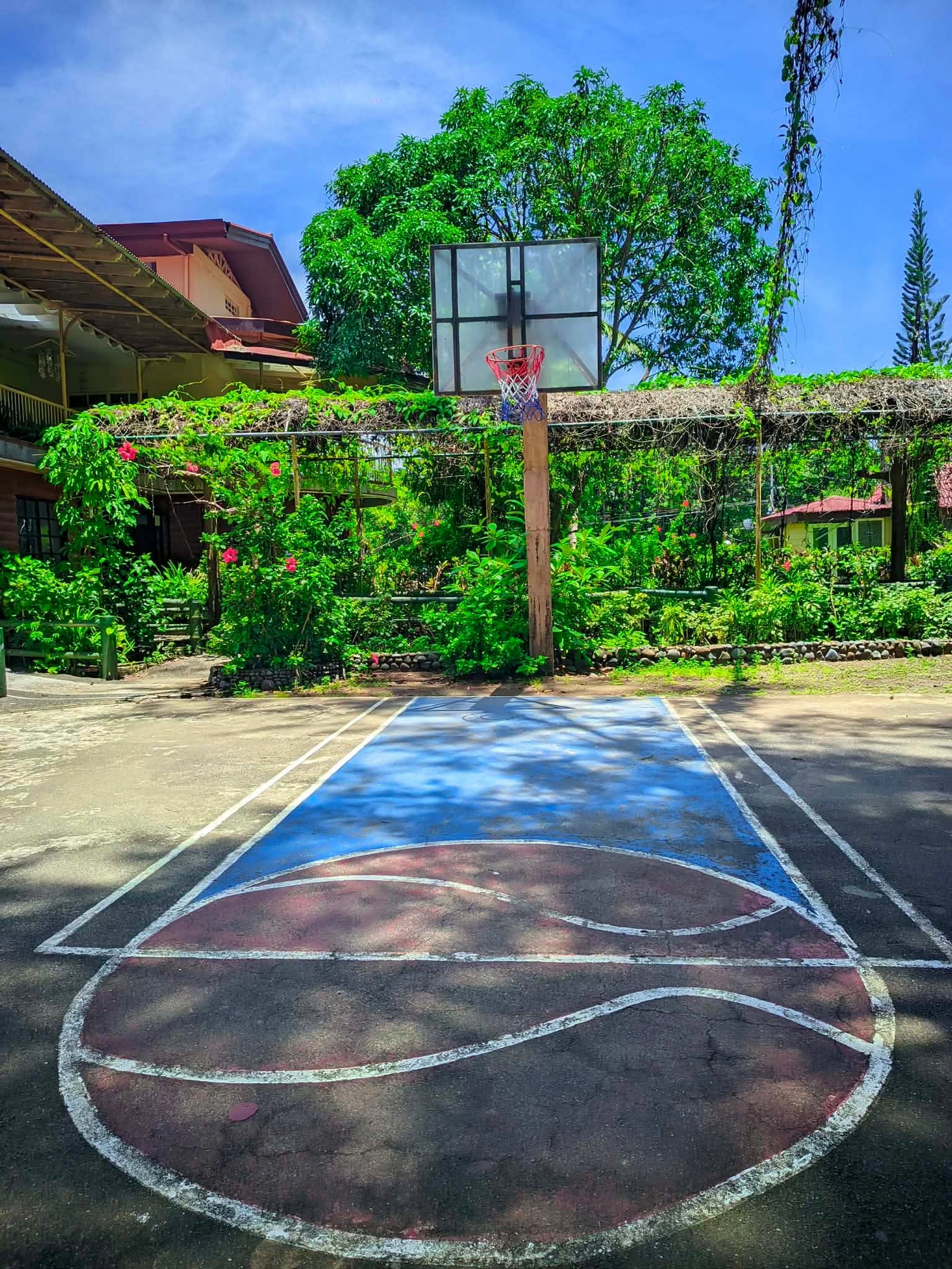 On-site basketball court framed by tropical gardens